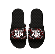 NCAA Texas A&M High Energy Slides