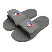 Toronto Blue Jays Alternative Slides