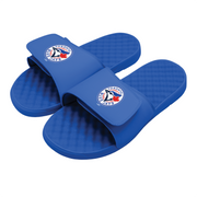 Toronto Blue Jays Primary Slides