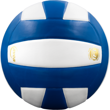 Perfection Leather Volleyball