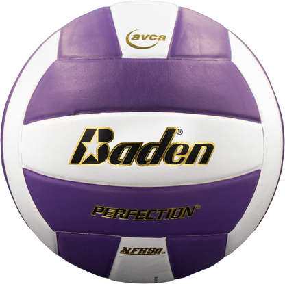 Perfection Leather Volleyball
