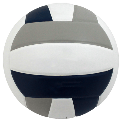 Perfection Leather Volleyball