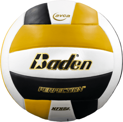 Perfection Leather Volleyball