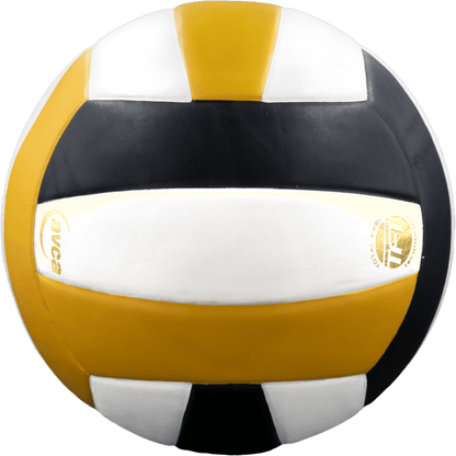 Perfection Leather Volleyball