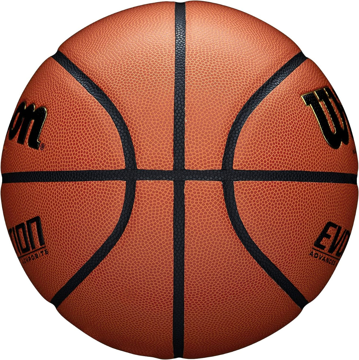 Wilson Evolution Game Basketball