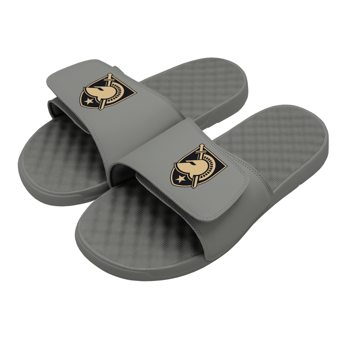 Army Primary Logo Slides