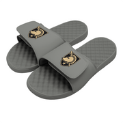 Army Primary Logo Slides