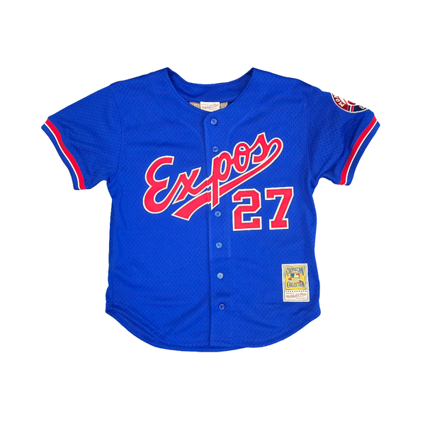 応援グッズ Montreal Expos Vladimir Guerrero jersey background-