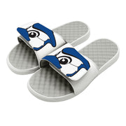 Toronto Blue Jays Mascot Slides