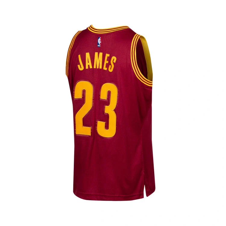 Cleveland Cavaliers NBA 2015 Lebron James Swingman Road Jersey