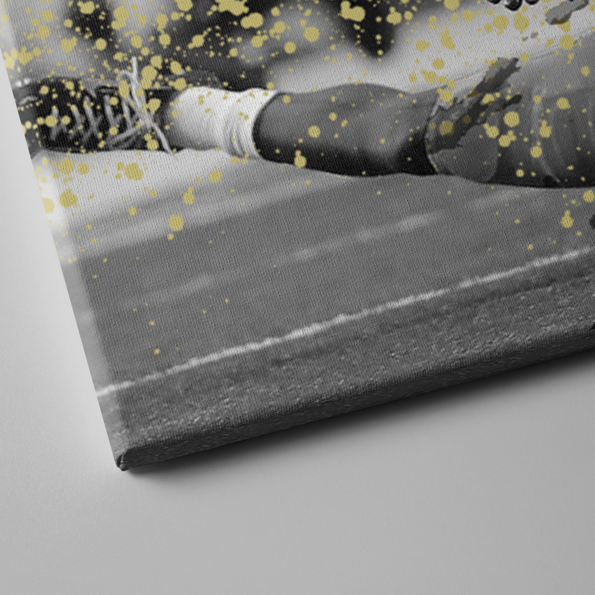 2016 NFC Championship Atlanta Falcons Canvas Wall Art