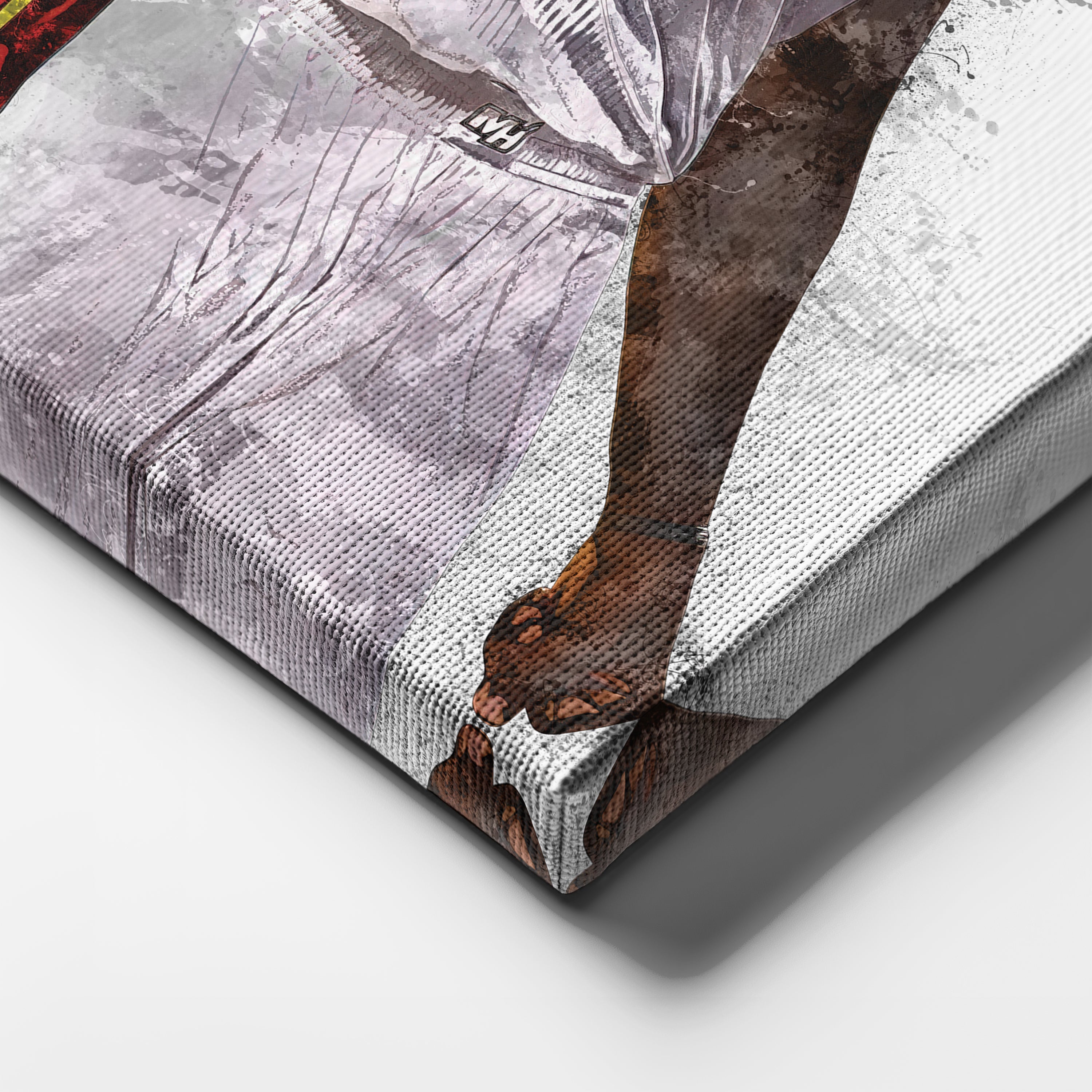 LeBron James Miami Heat Canvas Wall Decor