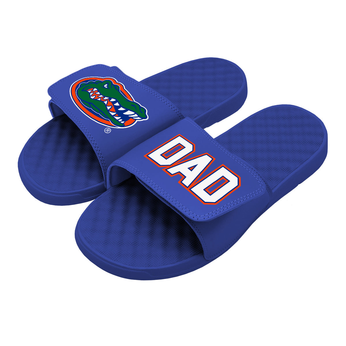Dad Florida Gators Slides