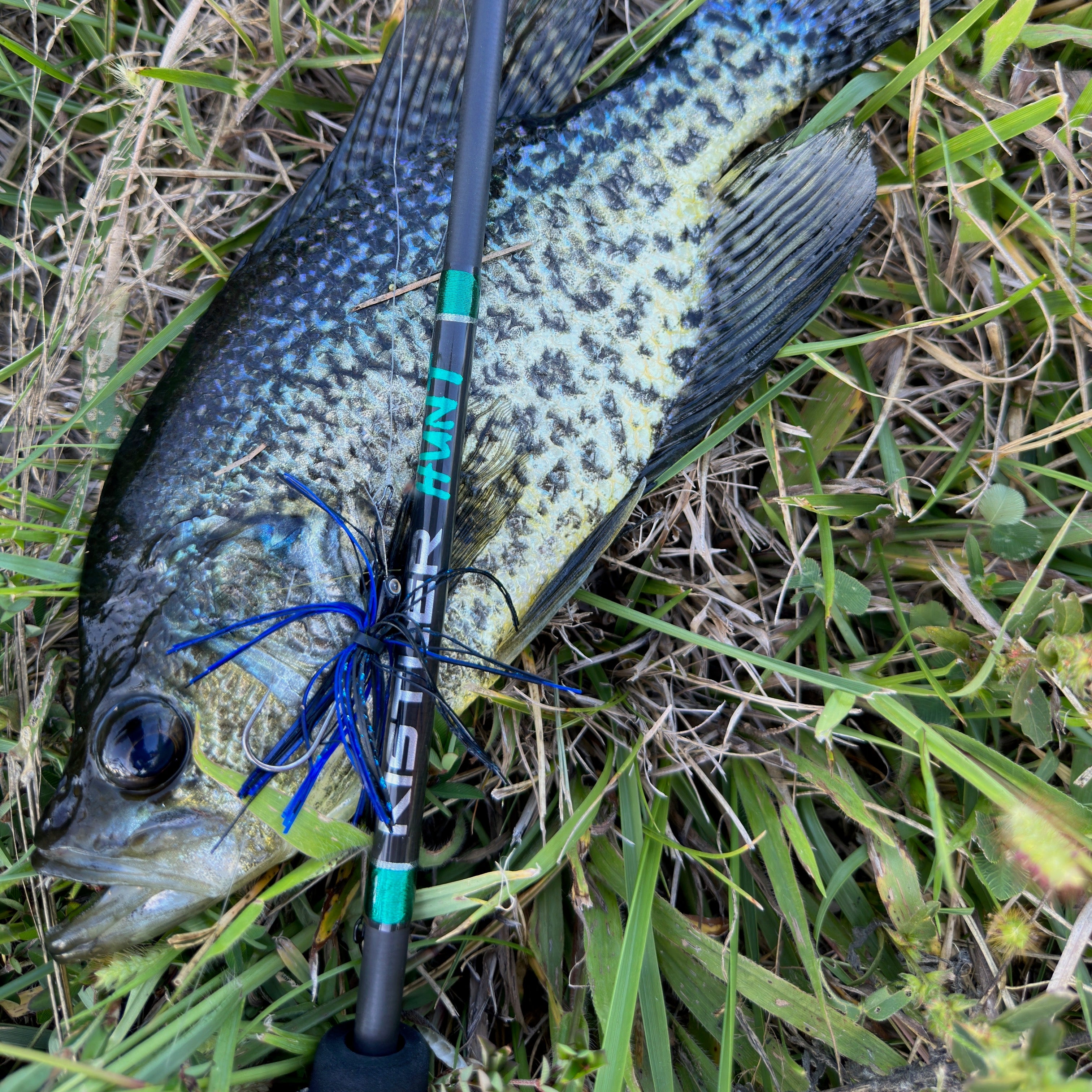 Hunt Bfs Fishing Rods