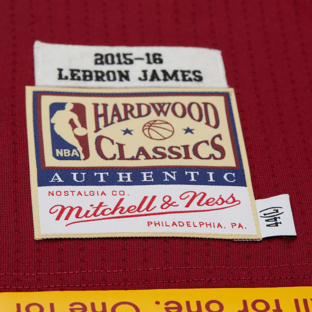 Cleveland Cavaliers NBA 2015 Lebron James Swingman Road Jersey