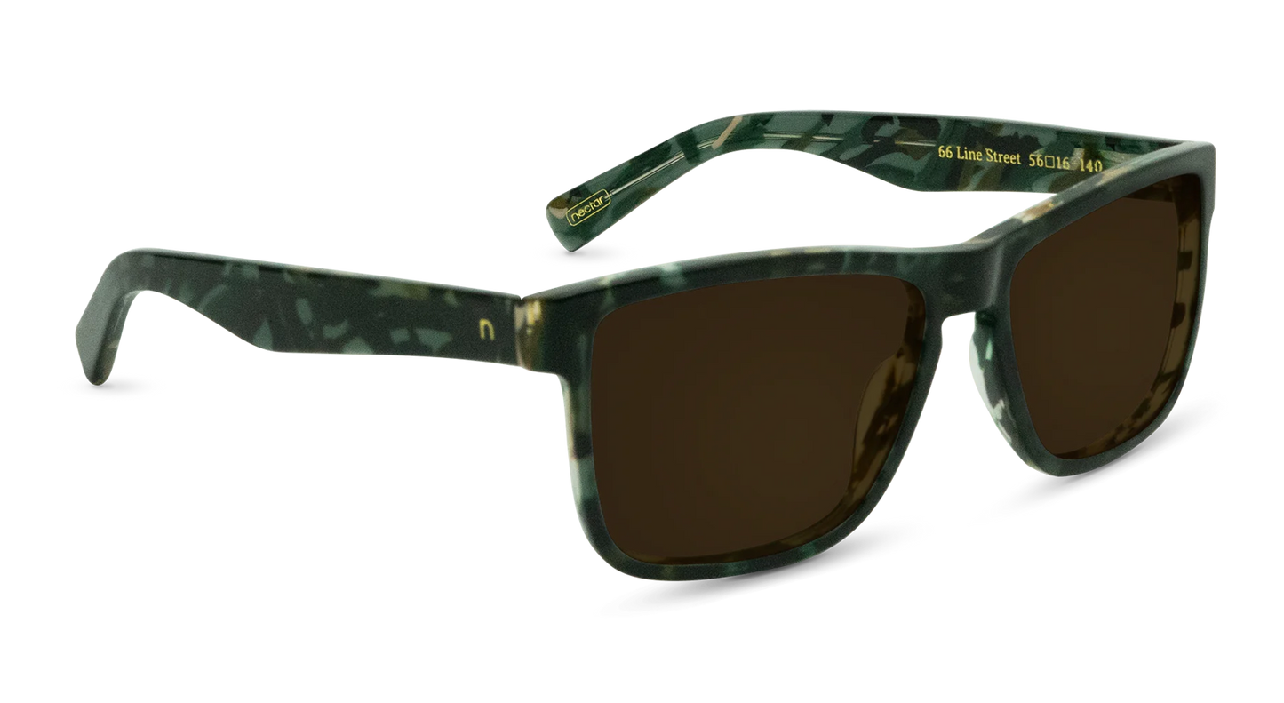 66 Line Street Sunglasses