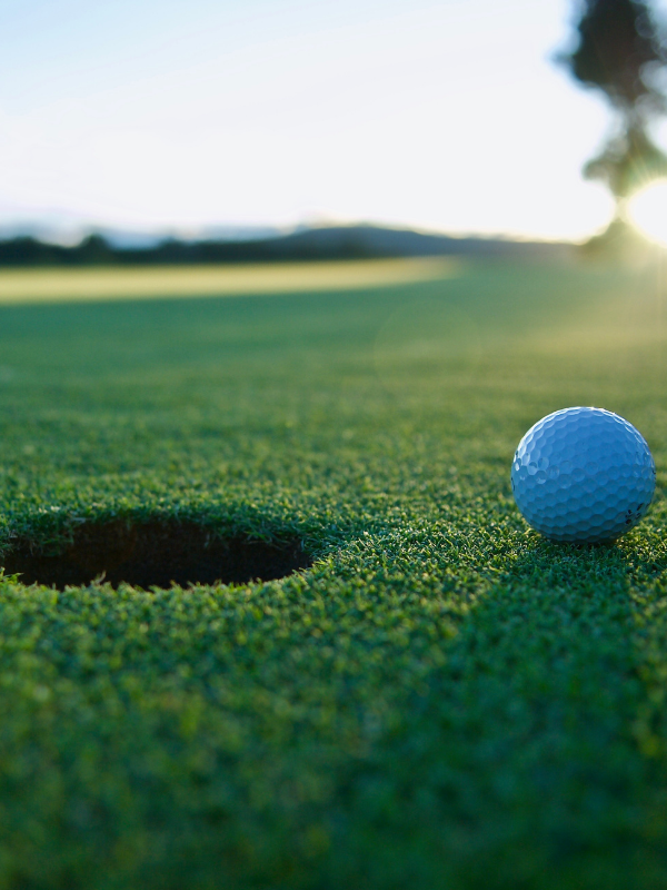 Modell's Sporting Goods