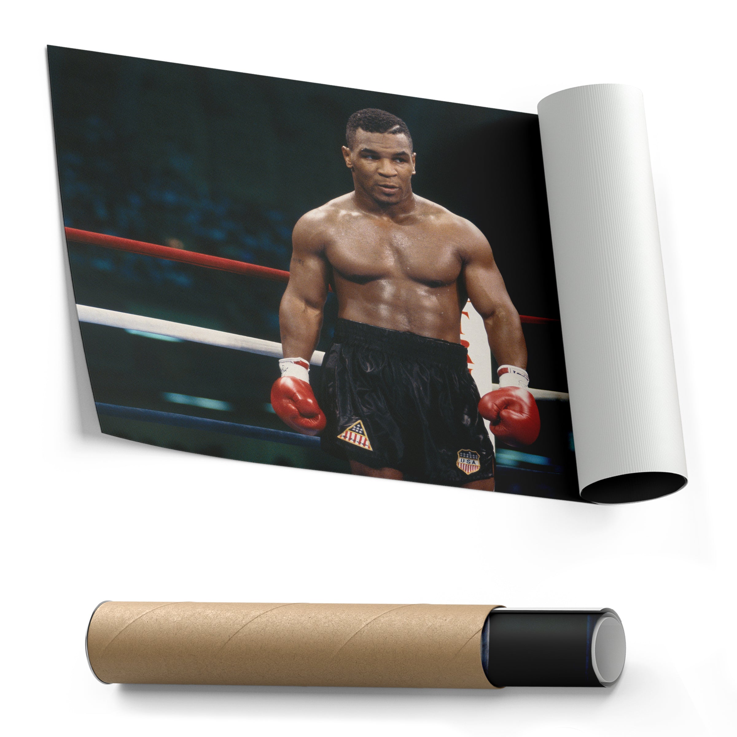 Mike Tyson Canvas Boxing Wall Art