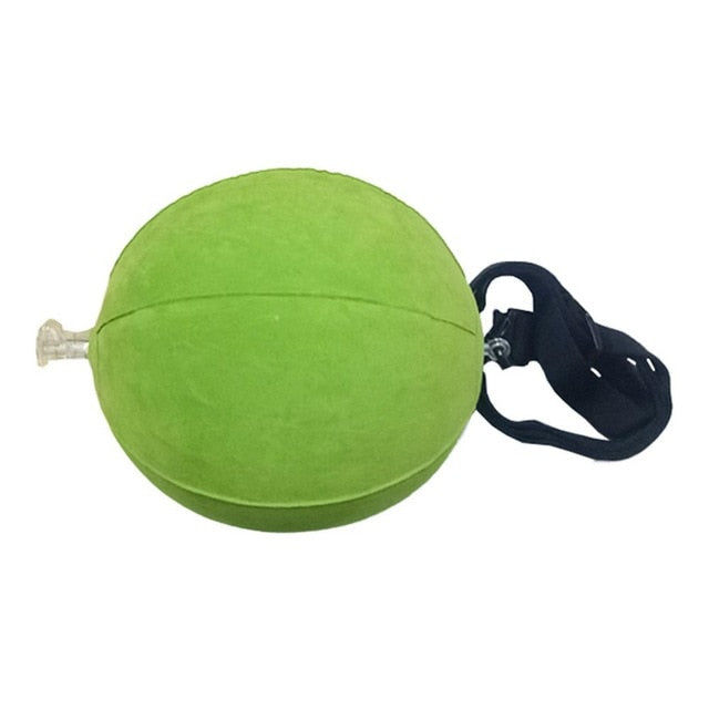 Golf Ball Swing Training Aid - Golfer Paradise