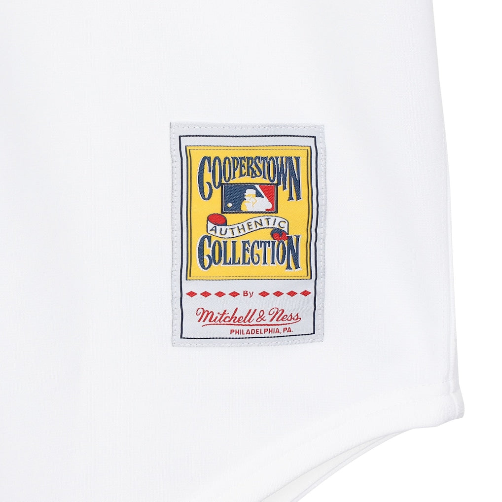 New York Mets Mike Piazza 2001 Mitchell & Ness Authentic Jersey