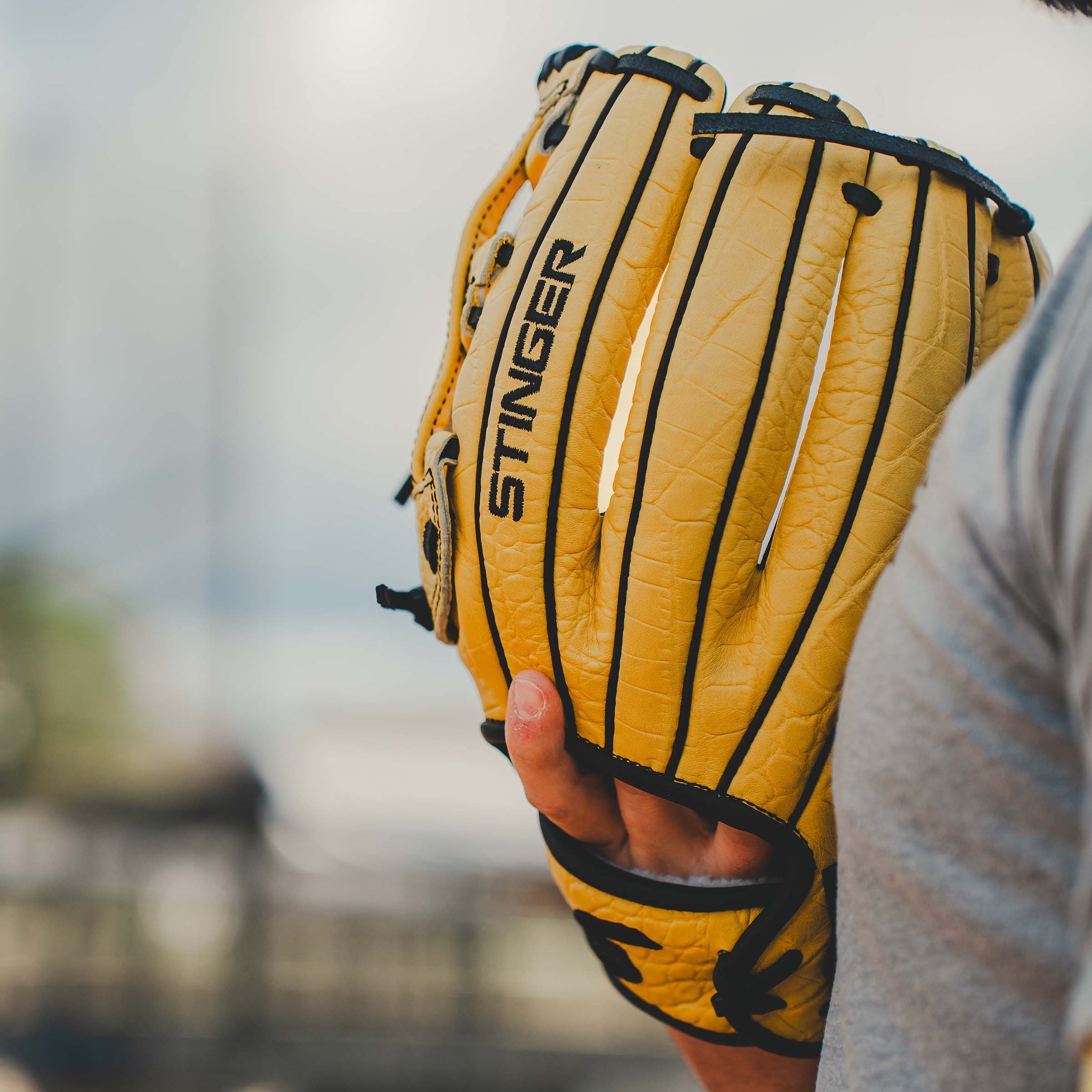 Stinger Yellow Jacket 11.25" Baseball Fielding Glove